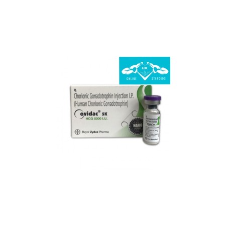 HCG 5000IU ONLINE STEROIDS UK