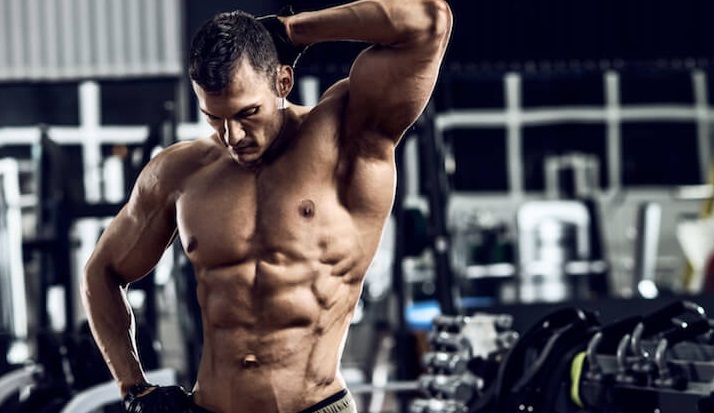 An Introduction to Steroid Cycles