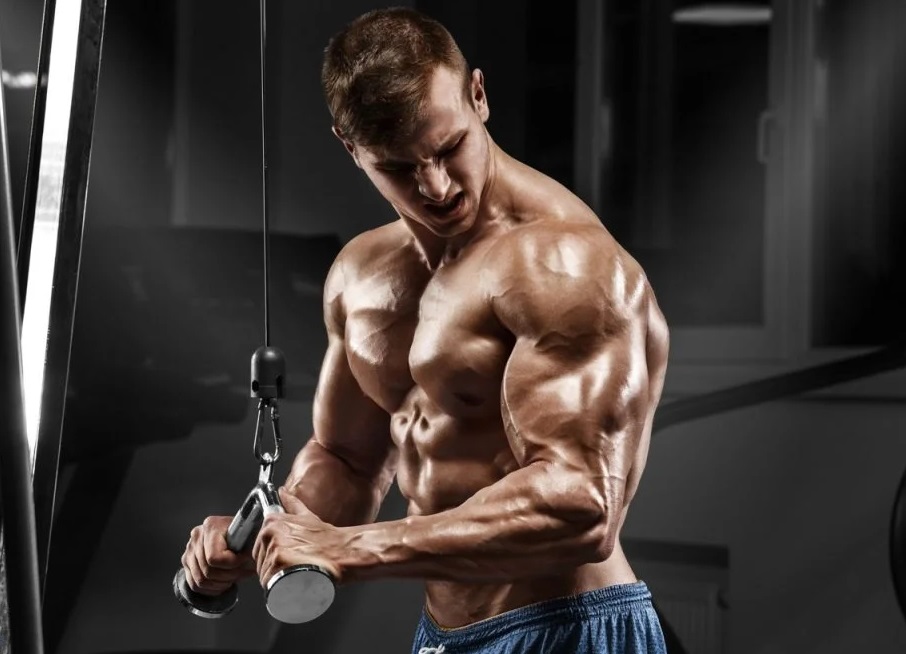 Best Steroids for Bulking