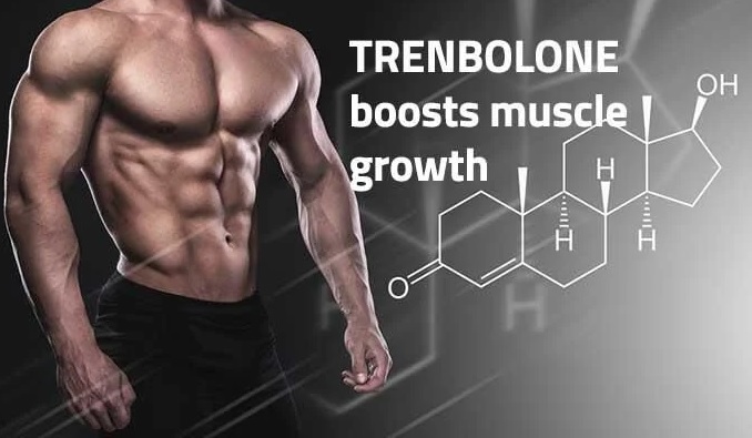 Definition, Uses, and Side Effects of Trenbolone Enanthate