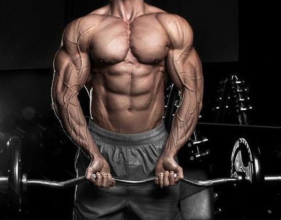 Dosage, cycle, and side effects of Oxymetholone