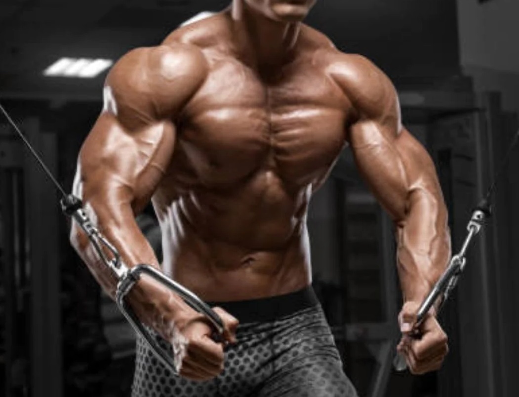 Fluoxymesterone (Halotestin) Cycle, Dosage, and Side Effects
