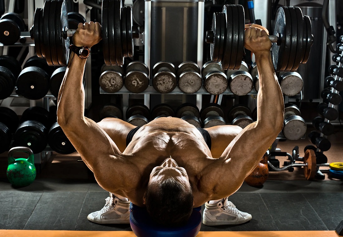 How Do Androgens And Androgenic Steroids Work?