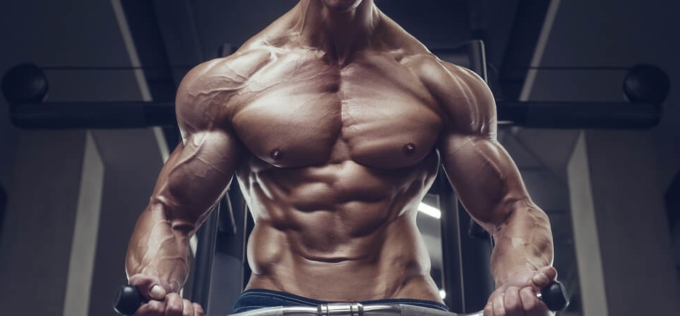 How is Testosterone Cypionate Cycled?