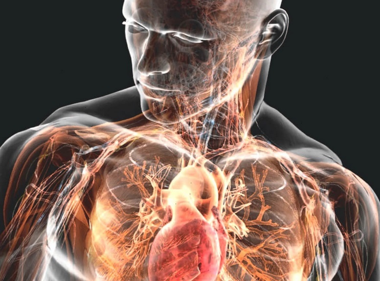 Increasing Immunity with Anabolic Steroids: Combating Infections & Viruses