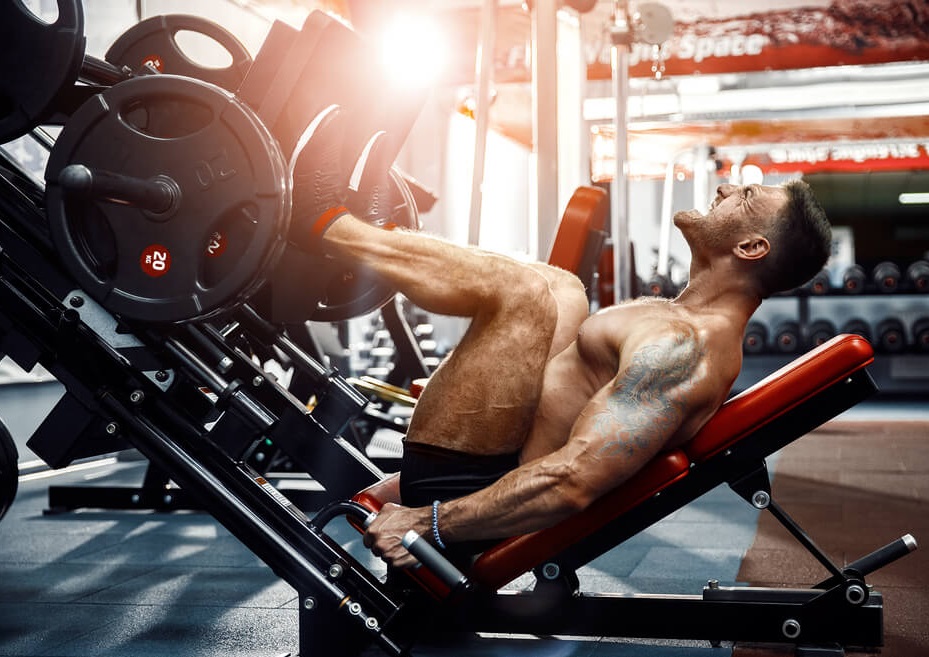 Hamstring curls: Twisting the legs while lying down on the machine