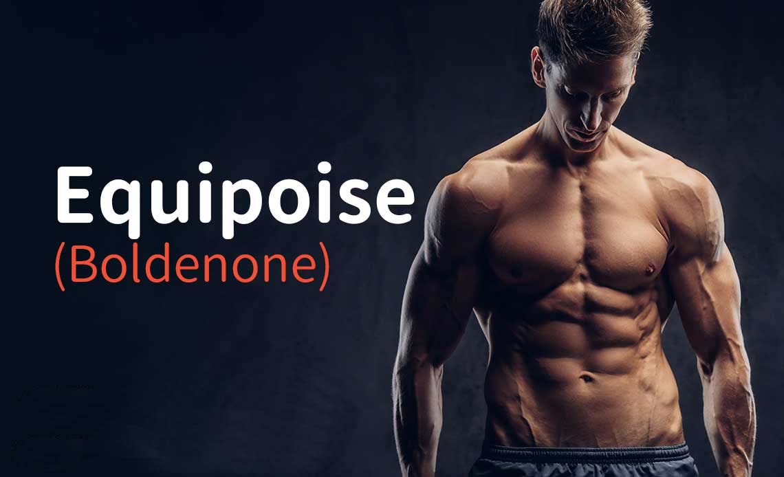 The Complete Guide to Boldenone