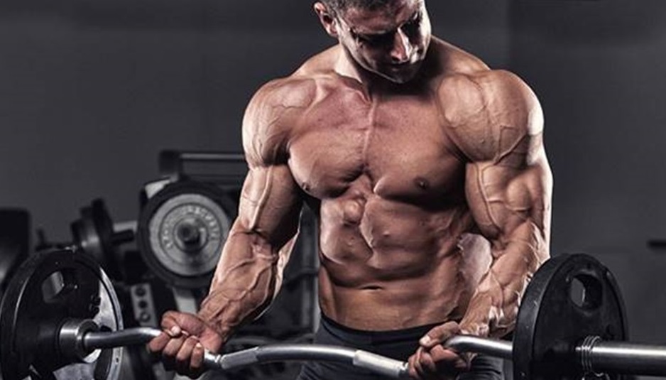 The Most Popular Steroids Available in the UK for Purchase