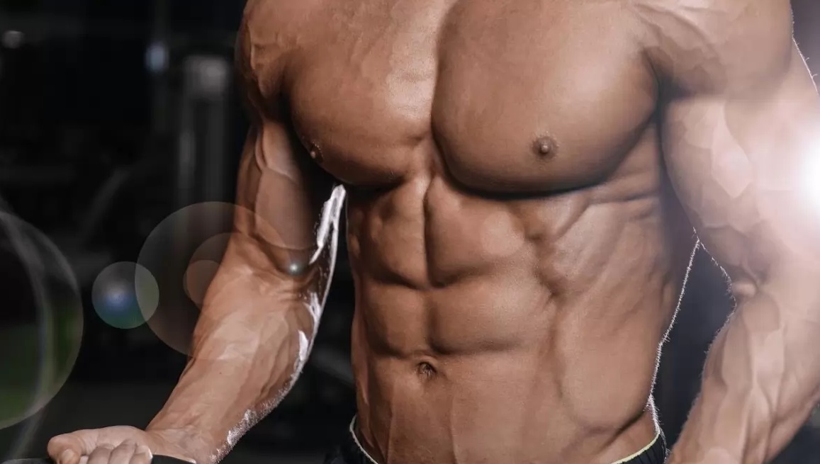 The Top Oral Steroids for Building Muscle
