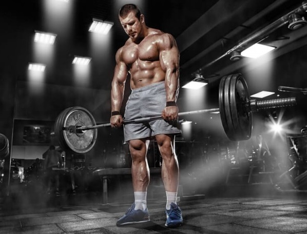 Trenbolone: How Does It Work?