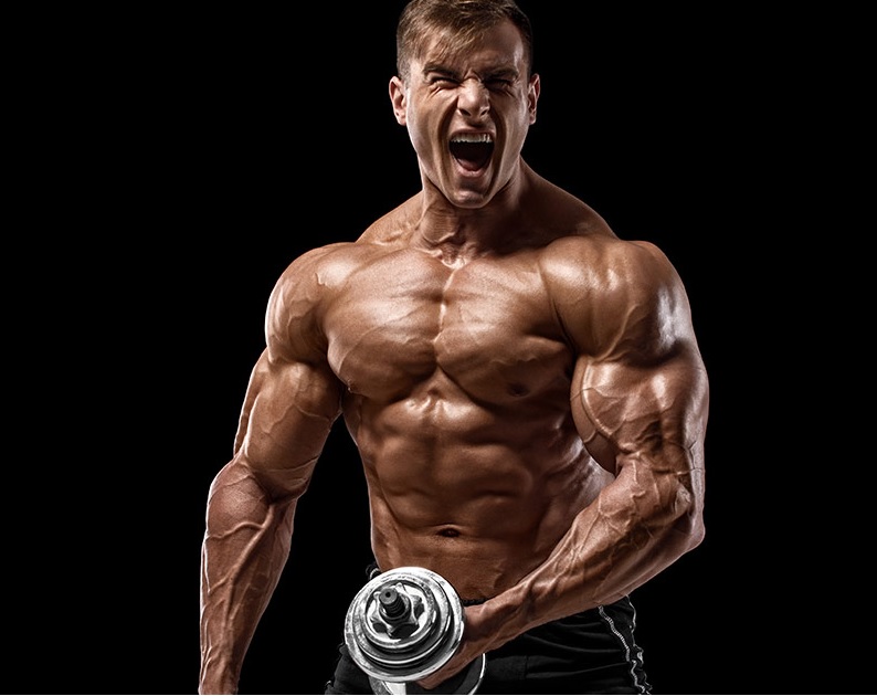 What Are Legal Steroids? How Do They Work?