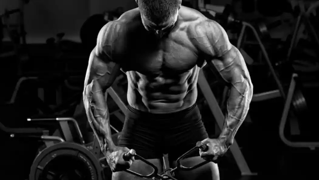You should avoid these five adverse effects of Sustanon 250!